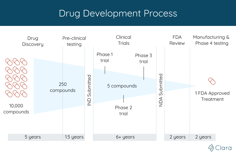 Drug Development Process Flowchart